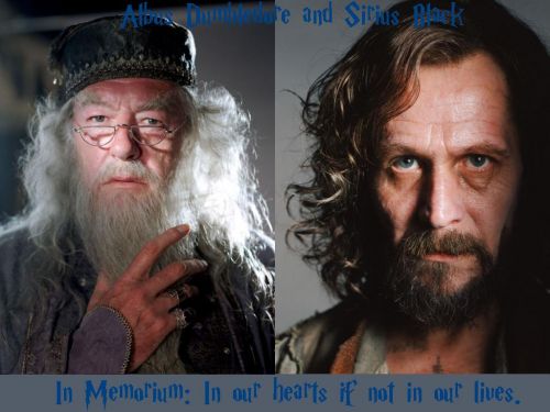 kitty-siriusanddumbledore1024.jpg