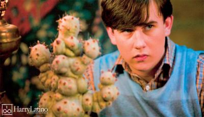 normal_neville.jpg normal_neville.jpg