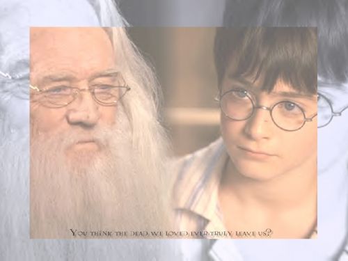 rachelhebert-dumbledoreweloved1024.jpg