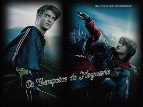 wallpapercampeoes_byag.jpg
