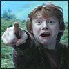 poa04_.jpg