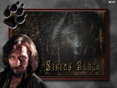 sirius_byRoO.JPG