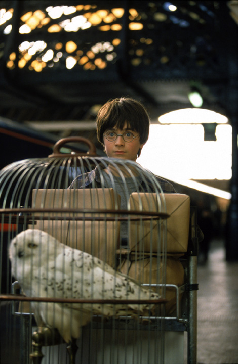 still-harryhedwigcage.jpg