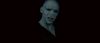 046Voldy.jpg