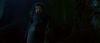 0__PSWHagrid.jpg