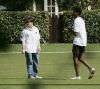 Cricket_(9).jpg