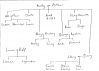 Family-Tree.jpg
