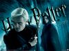 HP6_wp10_800x600.jpg
