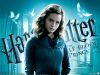 HP6_wp2_800x600.jpg