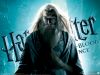 HP6_wp4_1024x768.jpg