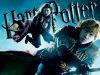 HP6_wp8_800x600.jpg