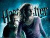 HP6_wp9_1024x768.jpg