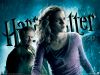 HP6_wp9_800x600.jpg