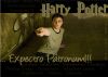 HarryPotter_Ordem01.jpg