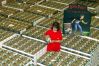 Potter_Sieben_6_DW__418868g.jpg