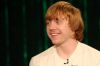 Rupert_(6).jpg
