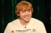 Rupert_(8).jpg