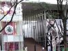 Tokyo-Omotesando.jpg