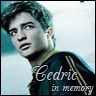avatar_cedric.jpg