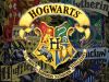 boricuabay-hogwarts800.jpg