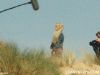 dh_onset_shellcottageday1_006.jpg