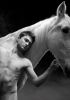 equus_bw7_hires.jpg