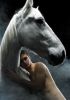 equus_clr_studioshot5.jpg