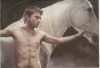 equus_daniel_horse.jpg
