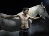 equus_hires_211072.jpg