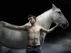 equus_hires_311073.jpg