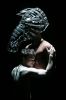 equus_nyc1.jpg