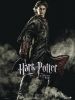 frenchposter_harry.jpg