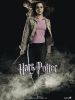 frenchposter_hermione.jpg