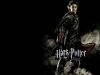 gaia-wallgofharry1024.jpg