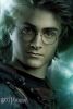 harry.jpg