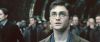 harry2~0.jpg