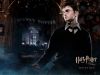 harry2~1.jpg
