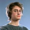harryP.jpg