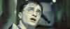 harry_.jpg