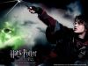 harry_800.jpg