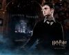 harry_~0.jpg