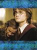 harryhermione2.jpg