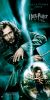 harrypotterandtheorderofphoenix_15.jpg