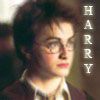 harry~0.jpg
