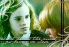 header-1.jpg