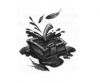 livro2_cap17.jpg