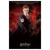 movies_ootp_posters_harrydagerman_01.jpg