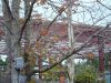 normal_DSC00295.jpg