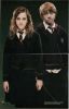 ronhermioneposterhi8.jpg