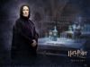snape1.jpg